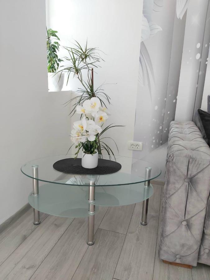 Apartment Marina 2 Kotor Eksteriør billede